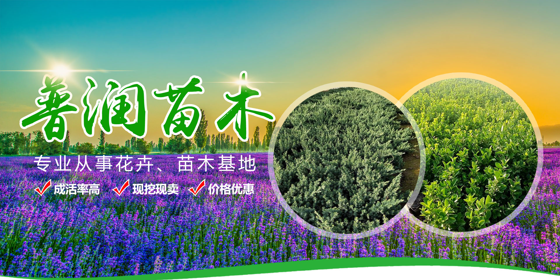 青島酒店廚房設(shè)備